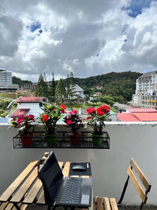 Lily Maison Apartment Tanah Rata Bagian luar foto