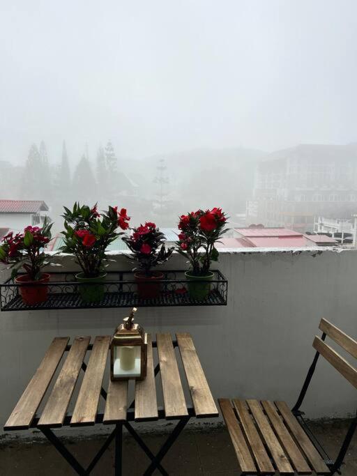 Lily Maison Apartment Tanah Rata Bagian luar foto